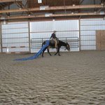 Photo Gallery | Warren's Mule Training Center